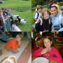 Sonniges Seifenkistenrennen Sonniges Seifenkistenrennen